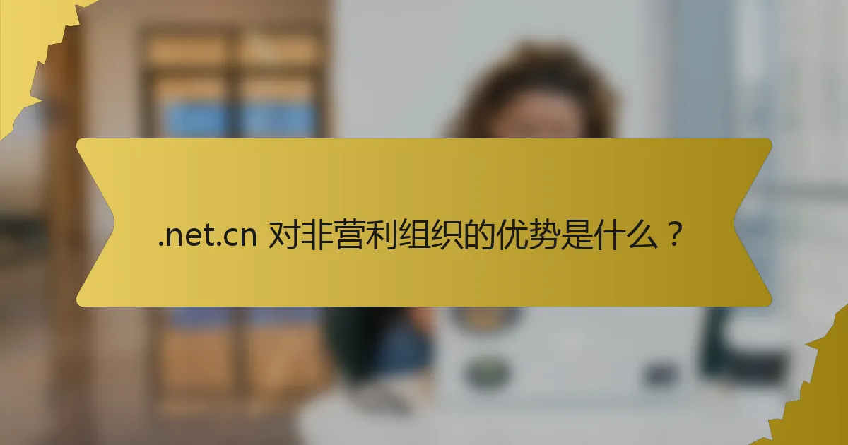 .net.cn 对非营利组织的优势是什么？