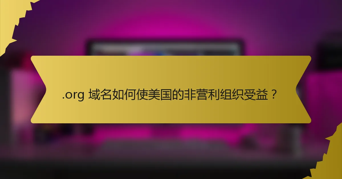 .org 域名如何使美国的非营利组织受益？