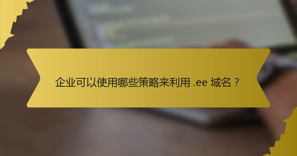 企业可以使用哪些策略来利用 .ee 域名?