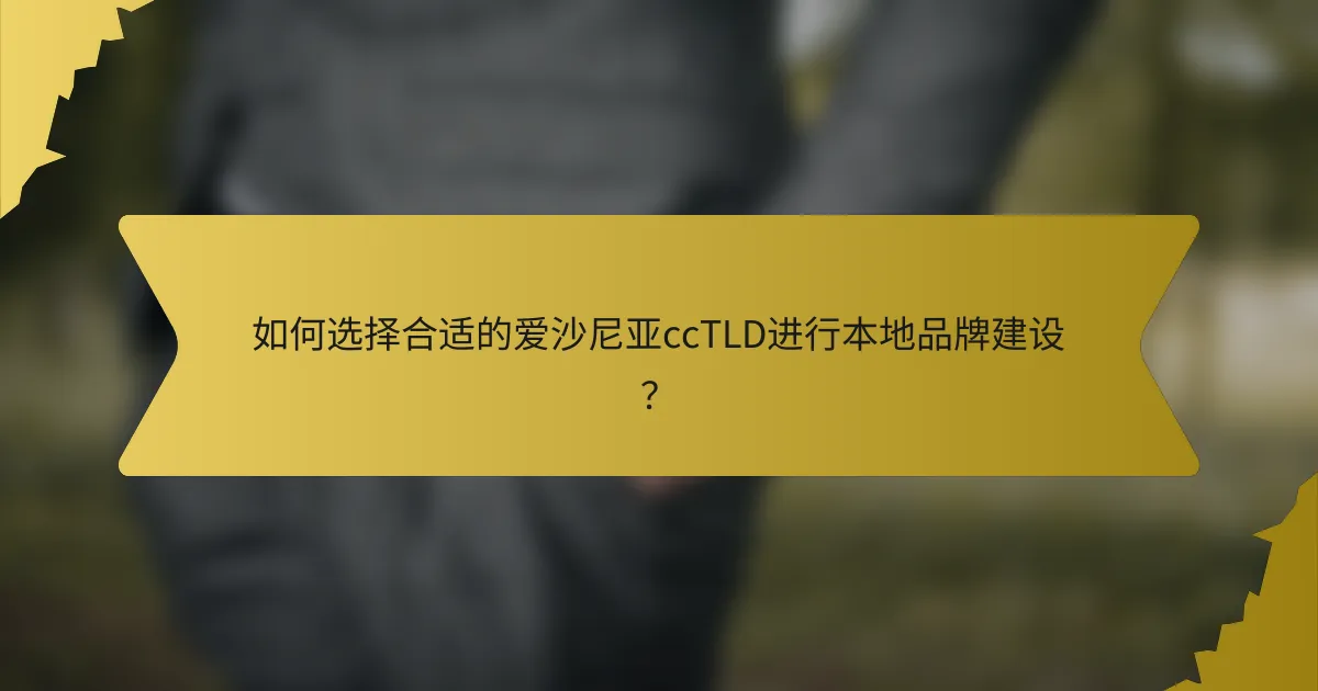 如何选择合适的爱沙尼亚ccTLD进行本地品牌建设？