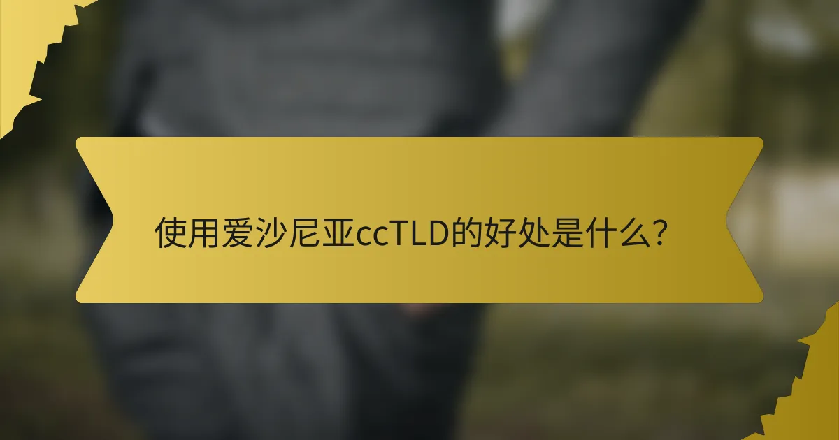 使用爱沙尼亚ccTLD的好处是什么？