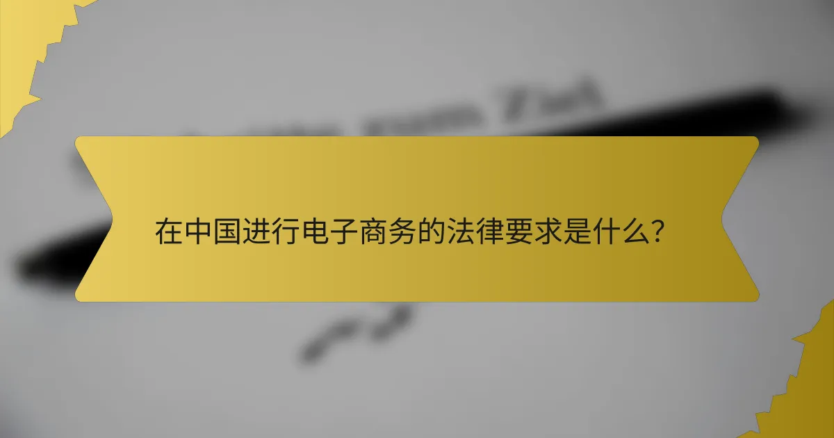 在中国进行电子商务的法律要求是什么？